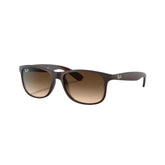 RAYBAN RB4202 ANDY