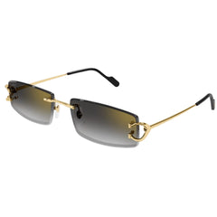 SIGNATURE DE CARTIER CT 0465S