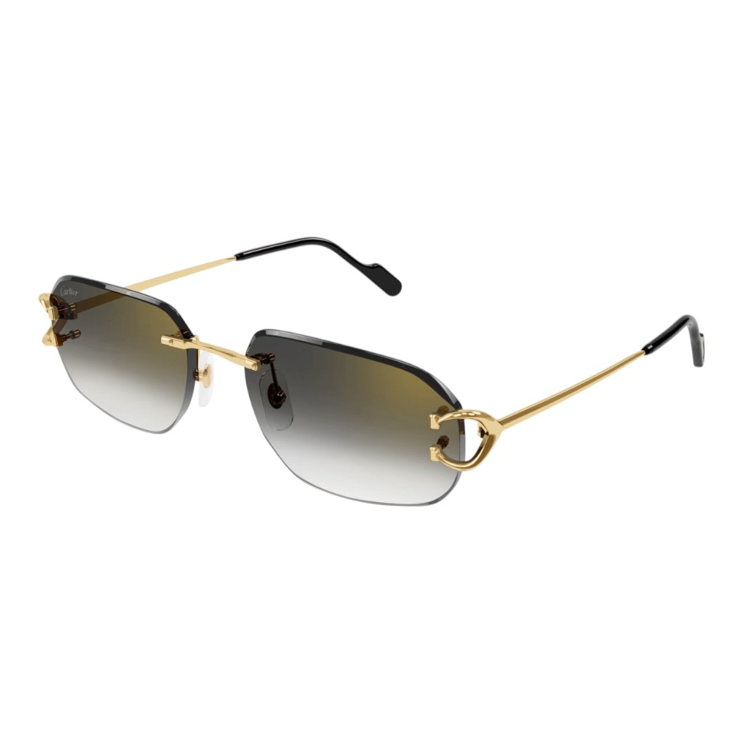 SIGNATURE DE CARTIER CT 0468S