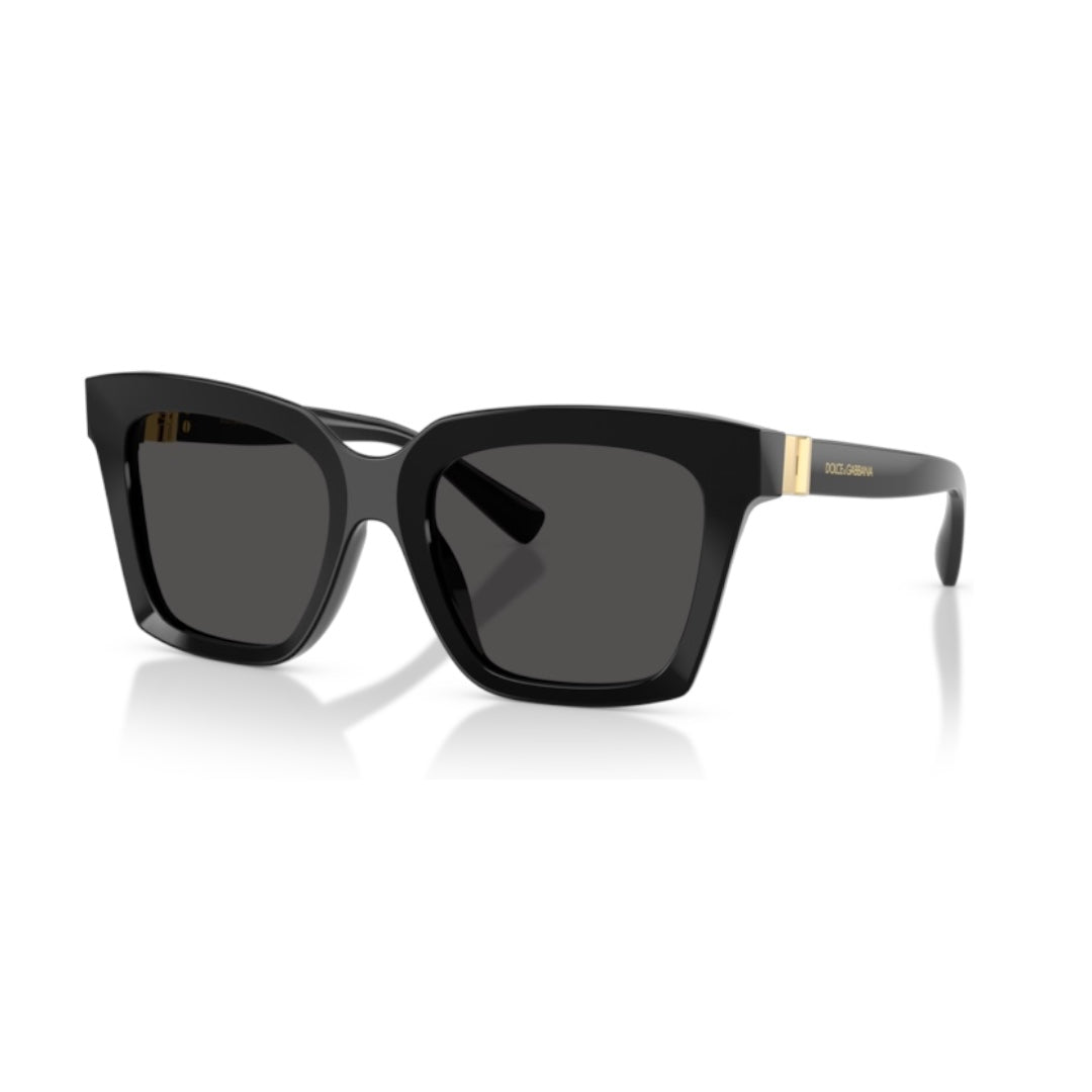 DOLCE GABANNA 4498 501/87