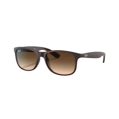 RAYBAN RB4202 ANDY