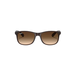 RAYBAN RB4202 ANDY