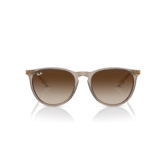 RAYBAN  4171 ERIKA 6744/13