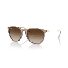 RAYBAN  4171 ERIKA 6744/13