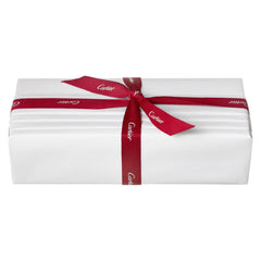 CLASH DE CARTIER CT 0543S