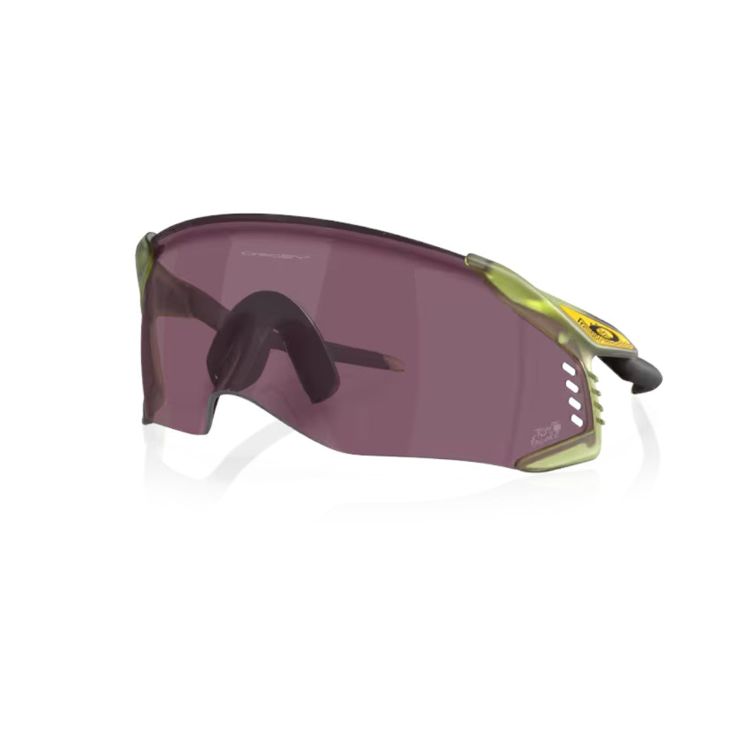 OAKLEY 9501 01/09
